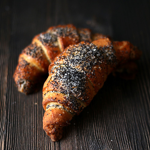 magonu-radzins-gustavbekereja